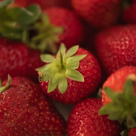 Casa Amorim Girão Alojamento de Turismo Rural Fatauncos