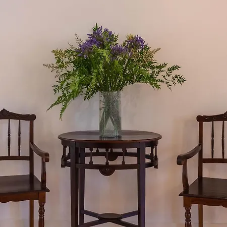 Alojamento de Turismo Rural Casa Amorim Girão Fatauncos