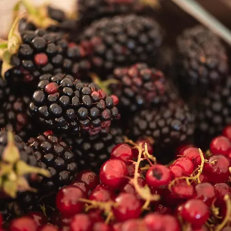 Casa Amorim Girão Alojamento de Turismo Rural