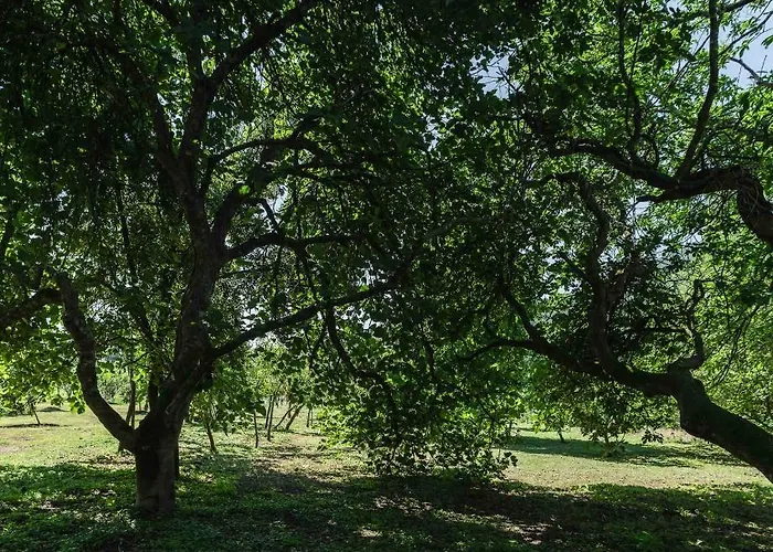 Séjour à la ferme Casa Amorim Girao Fatauncos
