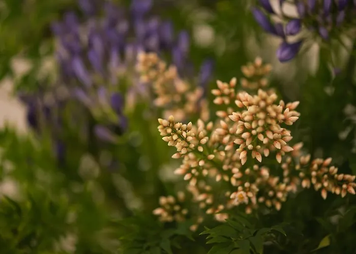 Séjour à la ferme Casa Amorim Girao Fatauncos